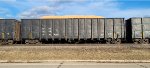 TPPX 70115